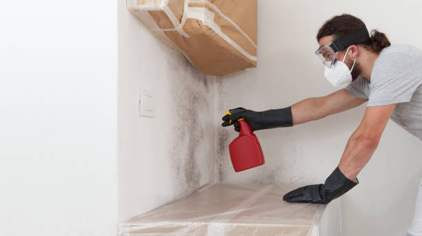 Professional Crawl Space Mold Remediation technician working in Howell, MI