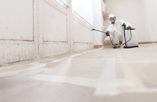24/7 Emergency Crawl Space Mold Remediation experts in Howell, MI