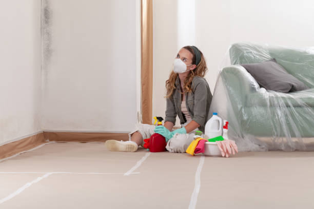 Reliable Crawl Space Mold Remediation contractor in Howell, MI by 24 Hour Mold Removal